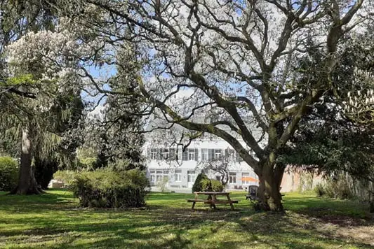 Jardin arboré de la résidence Fénelon