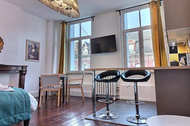 Appartement Léonard de Vinci